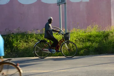 DSC_7982 (Large).JPG